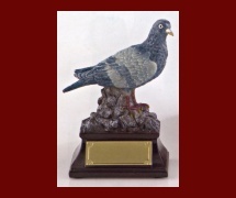 961 Galamb (15 cm) Pigeon